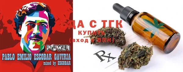 амф Мегион