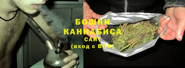 spice Медвежьегорск