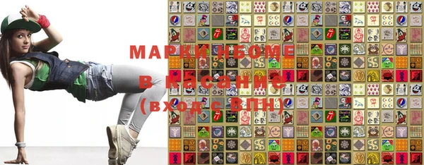 стафф Медногорск
