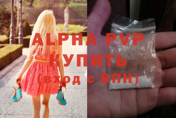 стафф Медногорск