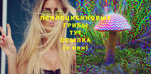 spice Медвежьегорск