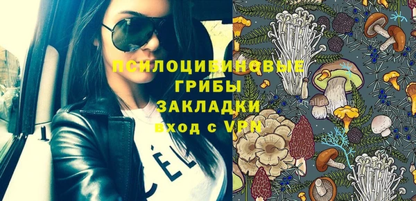 spice Медвежьегорск