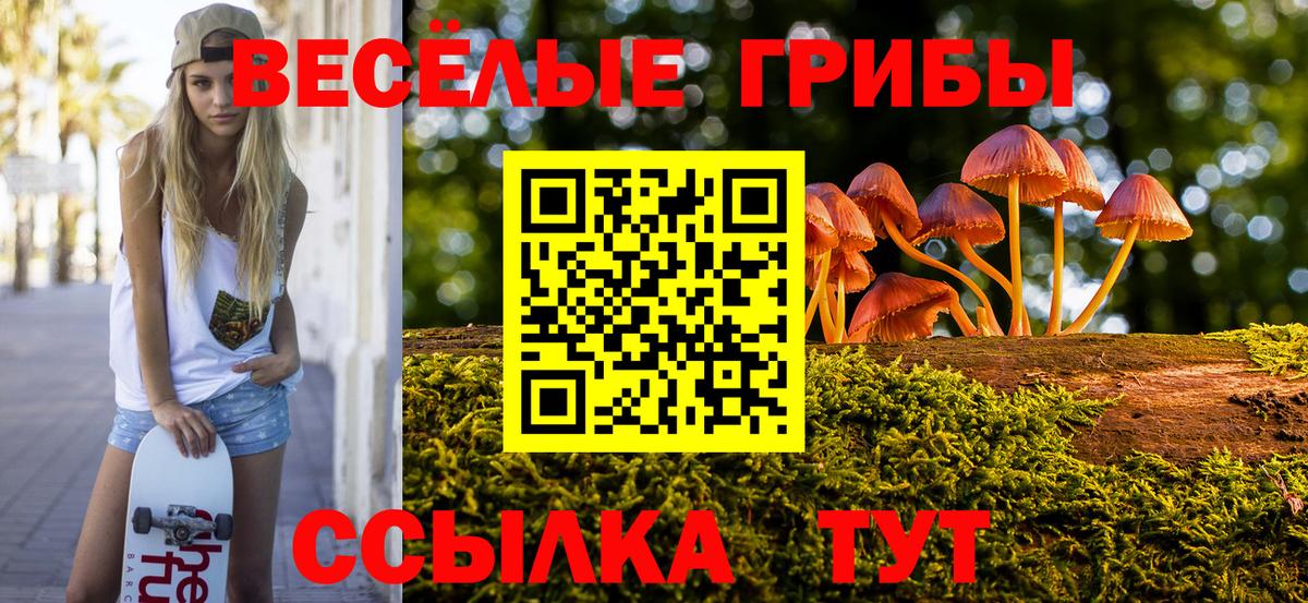 Псилоцибиновые грибы Cubensis Первоуральск
